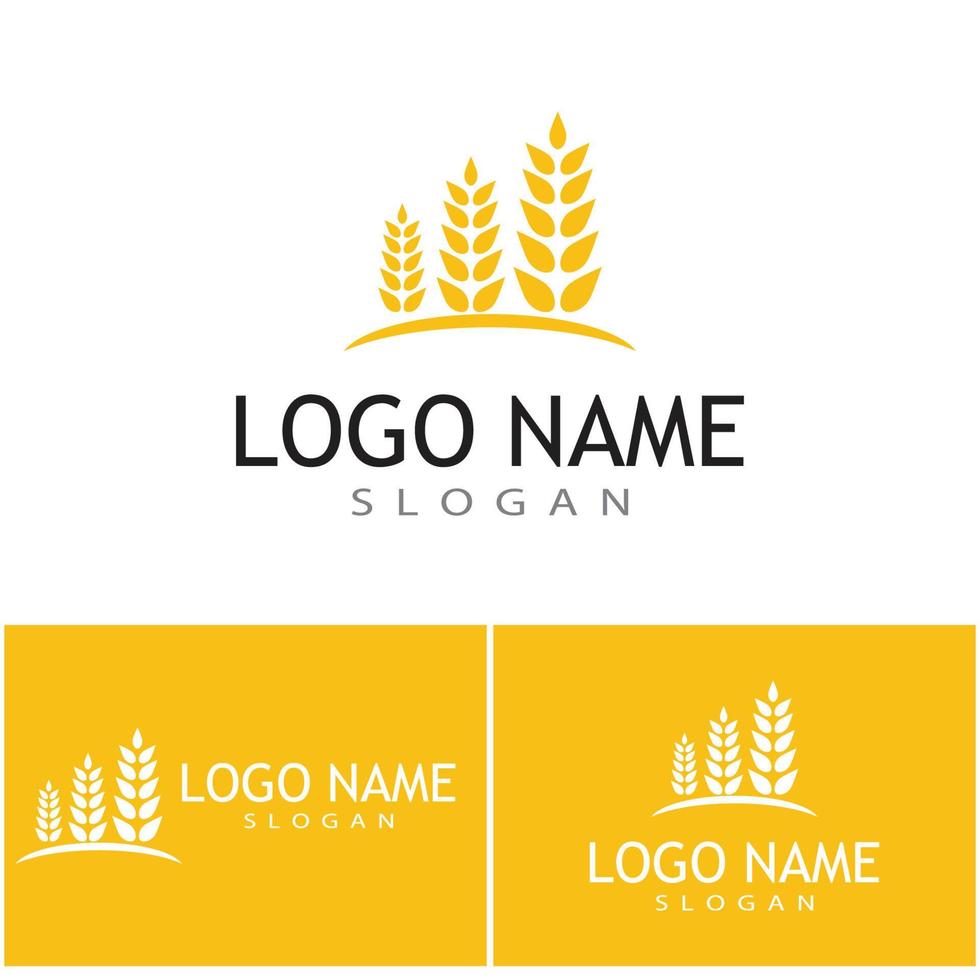 Agriculture wheat vector icon design