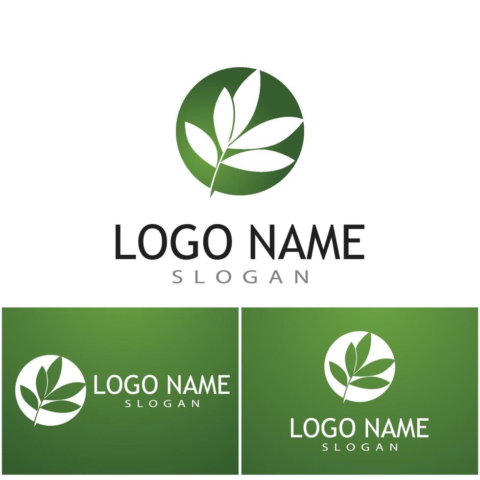 Leaf and Shutter Lens Aperture for Nature Photographer logo design inspiration vector