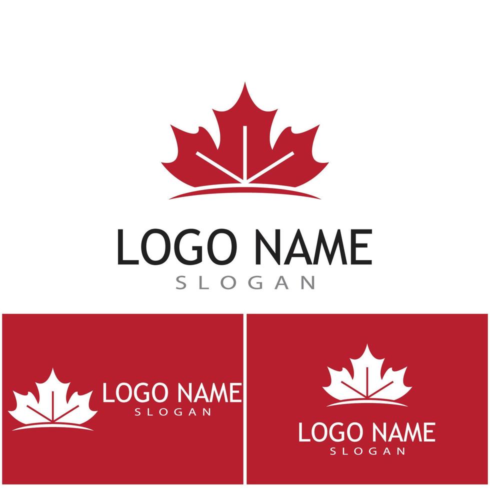 Maple leaf vector illustration design template