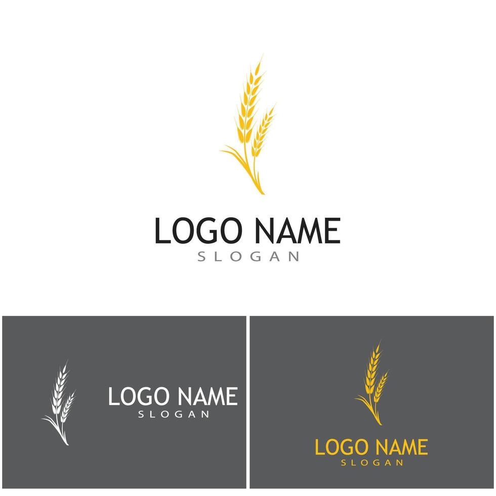 Agriculture wheat vector icon design