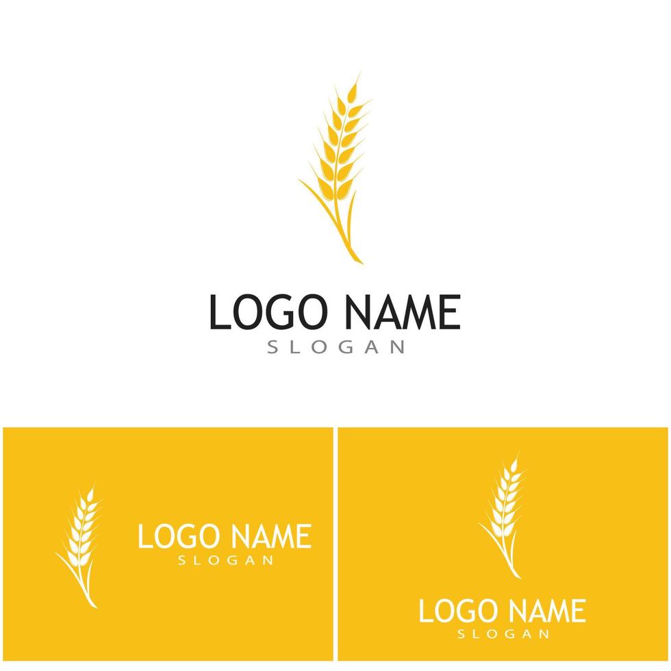 Agriculture wheat vector icon design