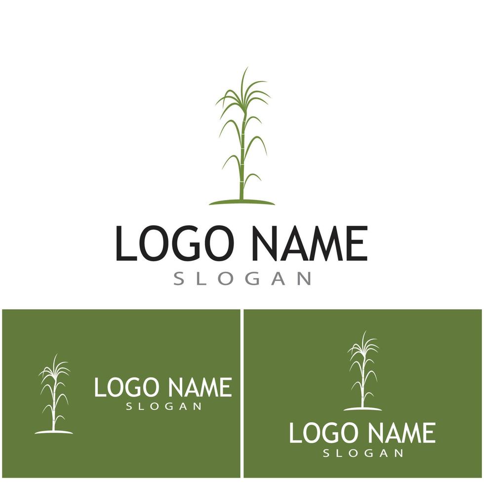 caña de azúcar, logotipo, plantilla, vector, símbolo, naturaleza vector