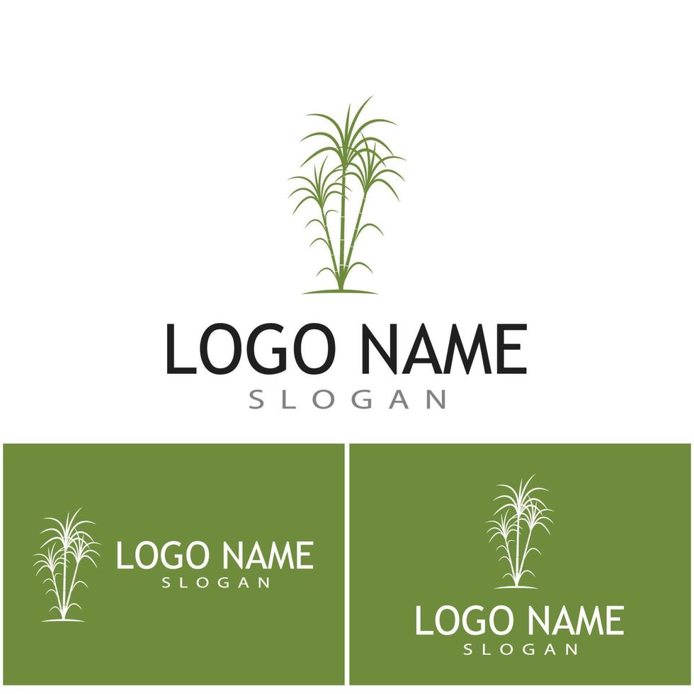 Sugar cane Logo Template vector symbol nature