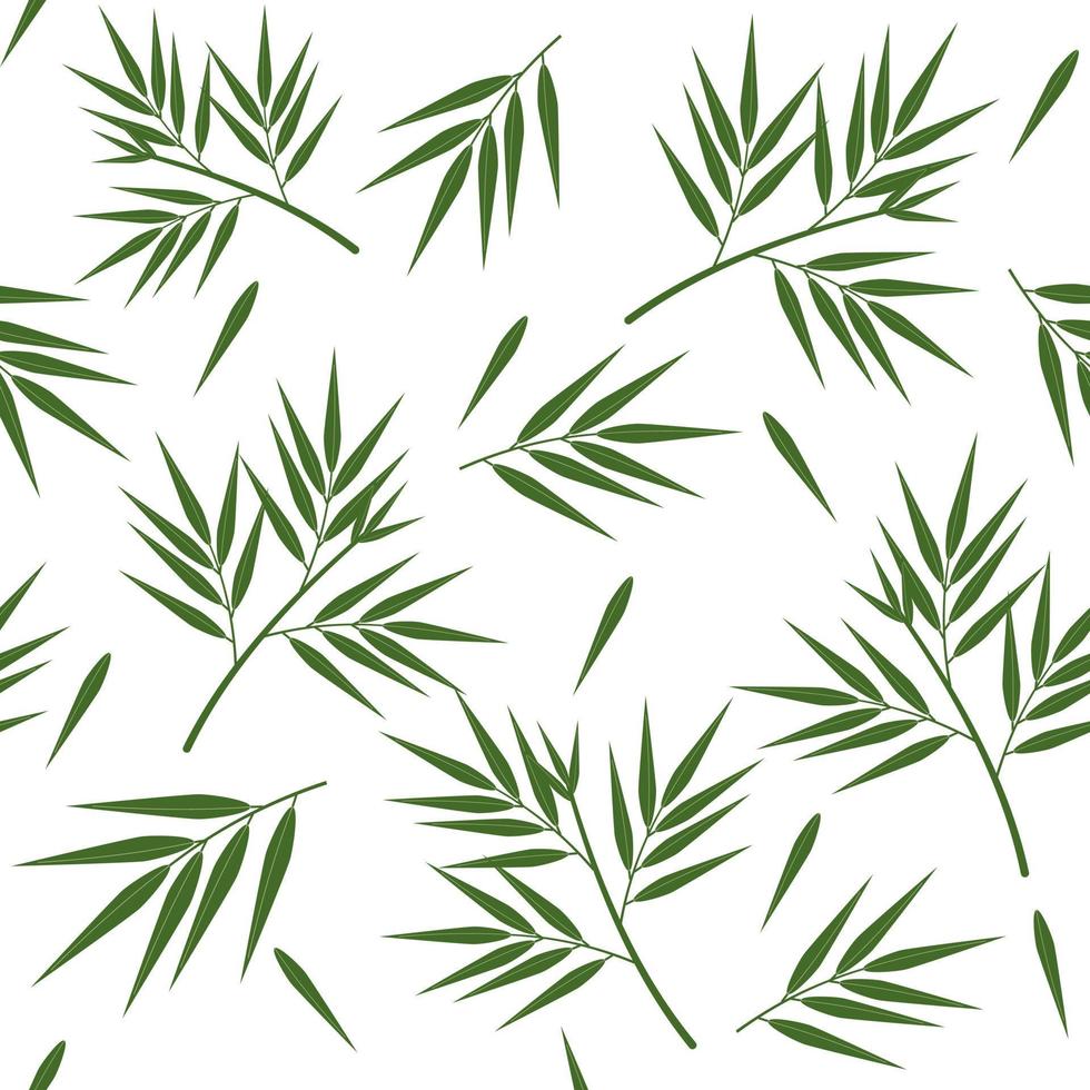 patrón de hojas de bambú, ilustración vectorial de color vector