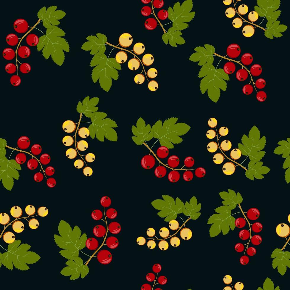 Currant fruit pattern, color vector illustration