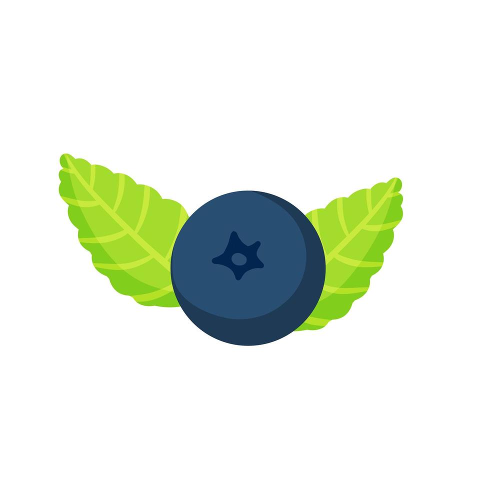 Blueberry. Black berry with green leaves. Sweet ingredient. vector