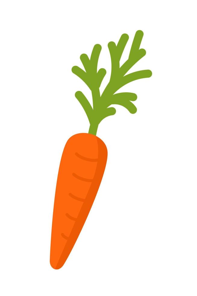 Carrot Gardening Agriculture Vector illustration isolated on white background