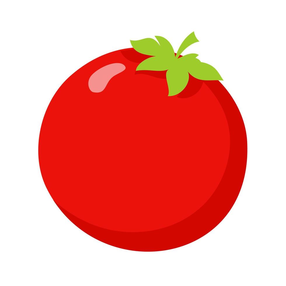 Tomato Gardening Agriculture Vector illustration isolated on white background