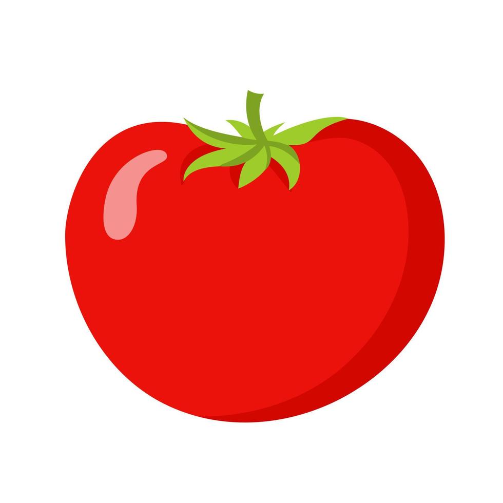 tomate, jardinería, agricultura, vector, ilustración, aislado, blanco, plano de fondo vector