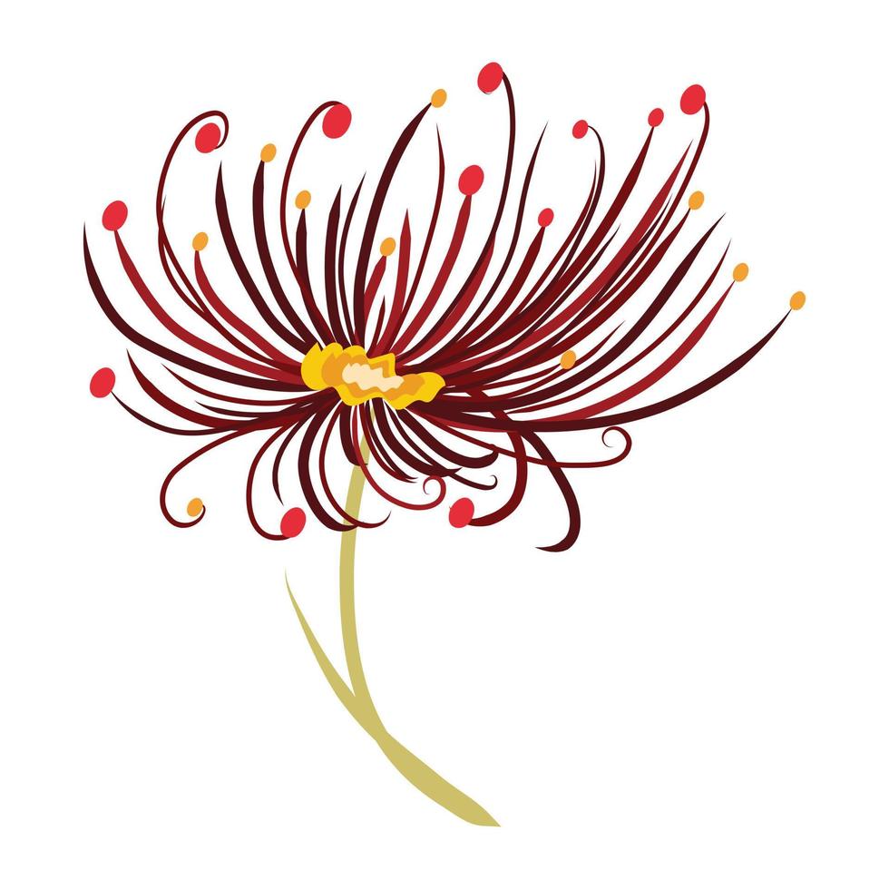 A dandelion flower doodle icon vector