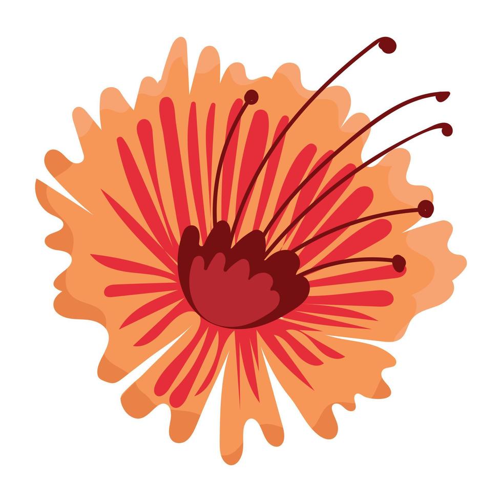 A hibiscus hand drawn vector