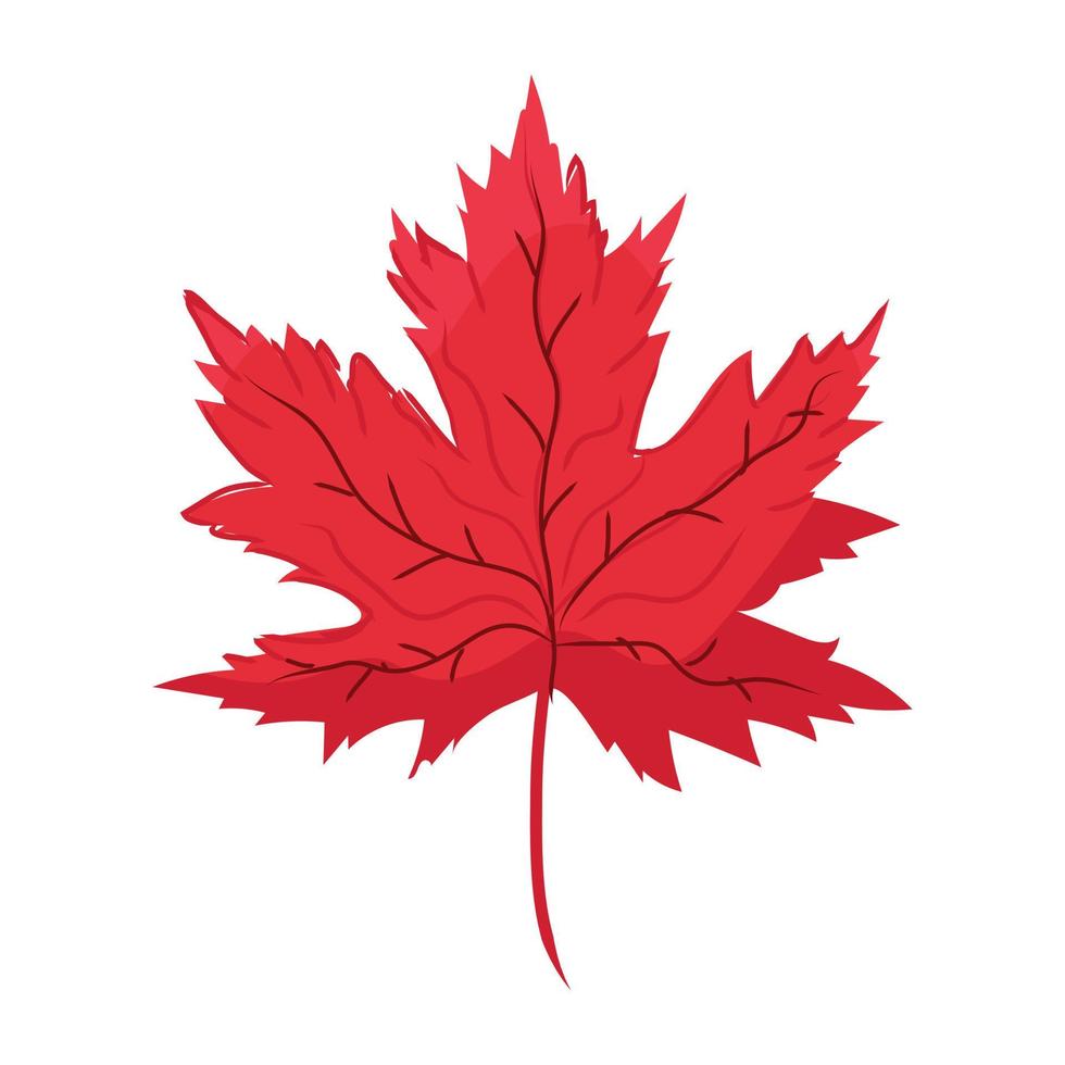 A maple leaf flat icon design vector