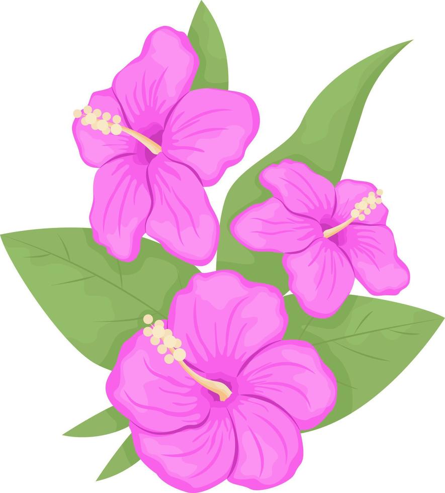 Hibiscus flowers with leaves semi flat color vector object