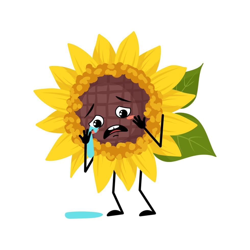 Sunflower character with crying and tears emotion, sad face, depressive eyes, arms and legs. Plant person with melancholy expression, yellow sun flower emoticon. Vector flat illustration