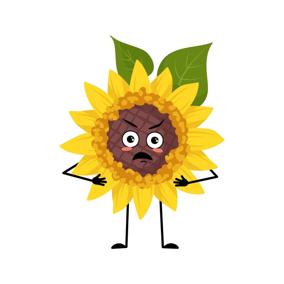 personaje de girasol con emociones enojadas, cara gruñona, ojos furiosos, brazos y piernas. planta persona con expresión irritada, emoticono de flor de sol amarillo. ilustración plana vectorial vector