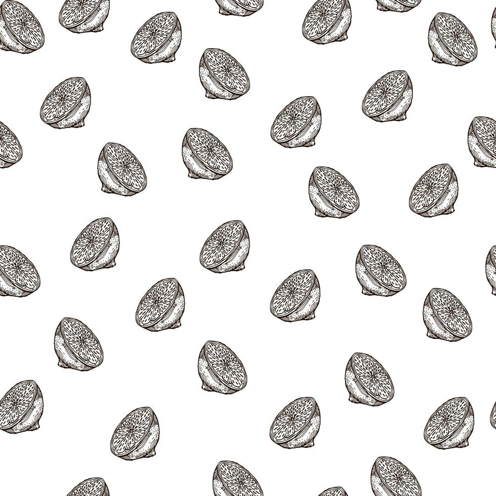 Seamless pattern lemon half engraving. Vintage background of citrus fruits in hand drawn style. vector