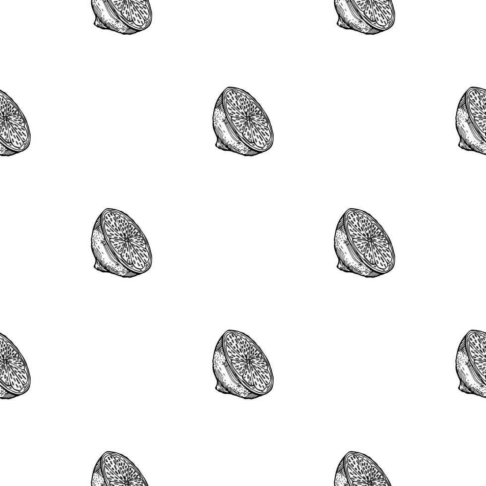 Seamless pattern lemon half engraving. Vintage background of citrus fruits in hand drawn style. vector