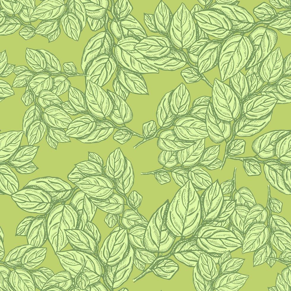 Seamless pattern engraved tree branches. Vintage background summer twigs in hand drawn style. vector