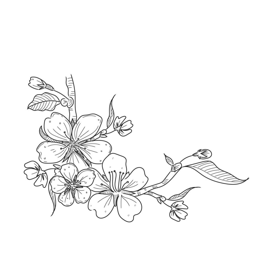 cherry blossom line art vector