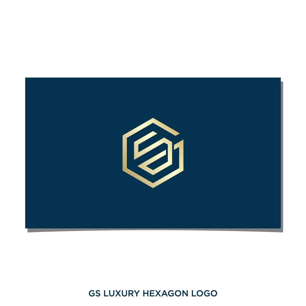 GS LUXURY HEXAGON LOGO DESIGN vector
