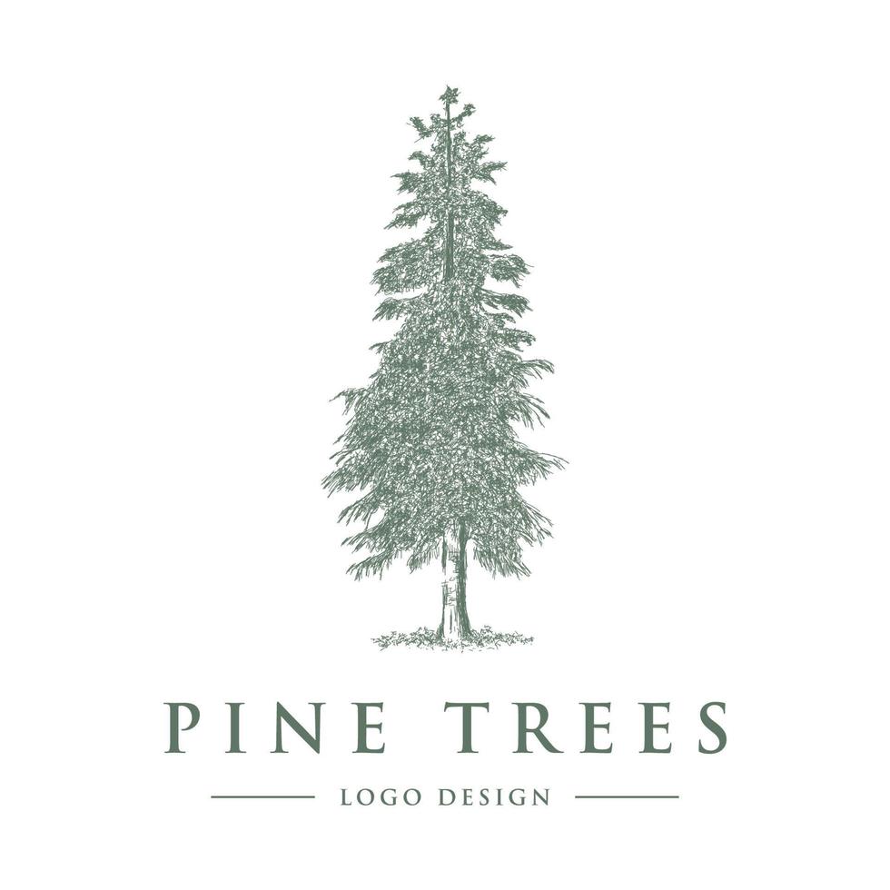 PINE TREE LOGO DESIGN VECTOR