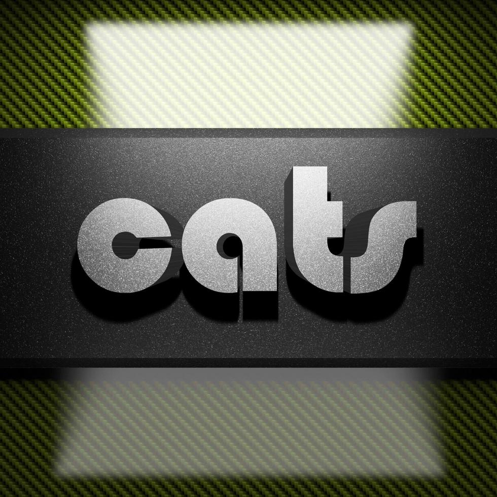 cats word of iron on carbon photo