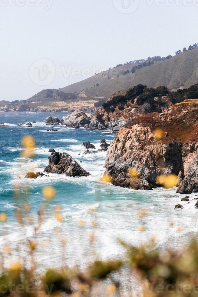 Ocean and yellow flowers photo