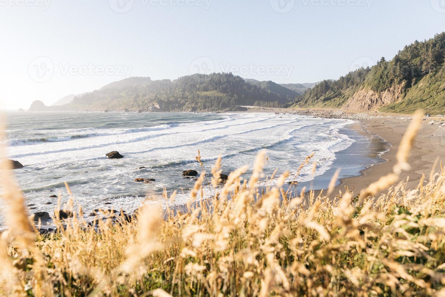 Grassy coastal view photo