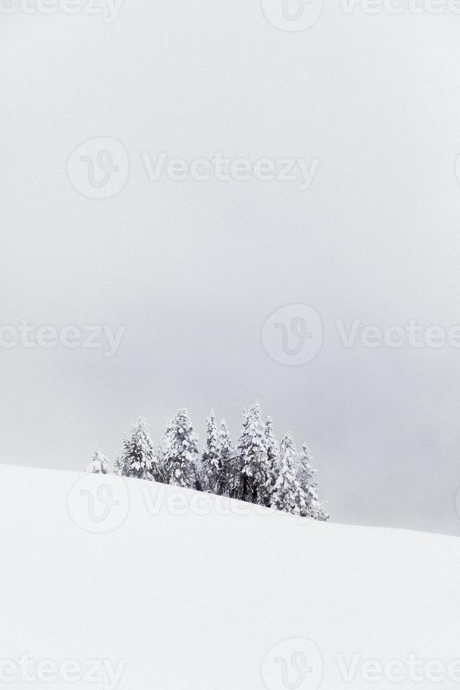 Snowy hill and overcast sky photo