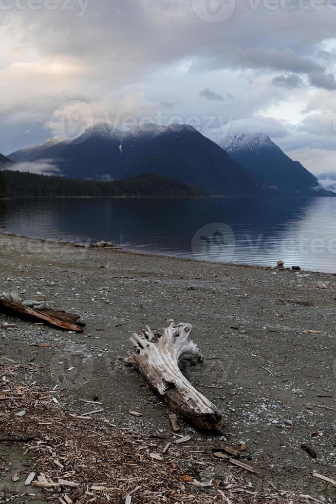 Driftwood on a moody beach photo