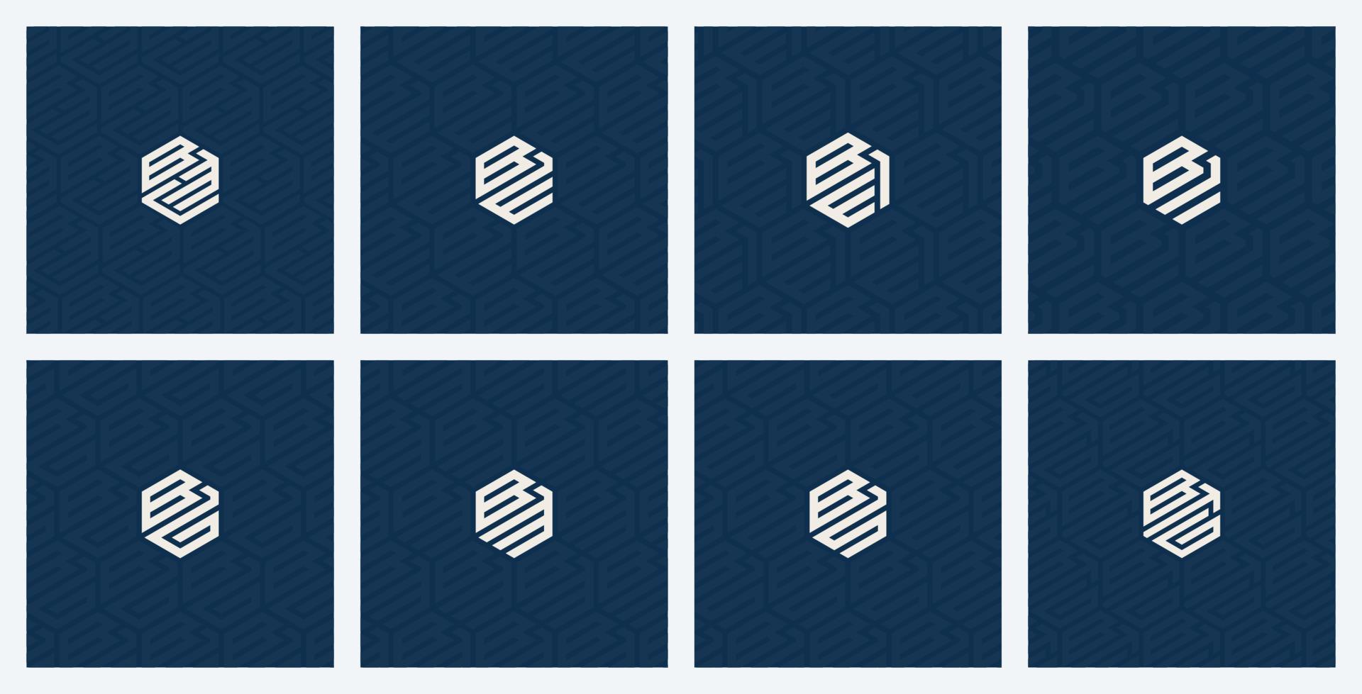 Hexagonal logo compilation with initial illustration of letter B and background pattern design vector