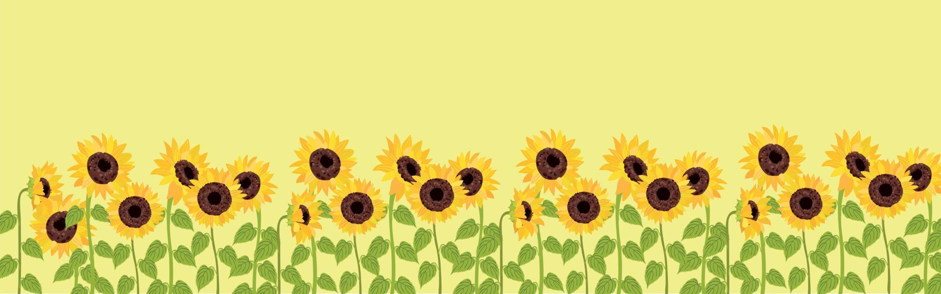 temporada de verano, imagen de la naturaleza, campo de girasoles bajo el cielo amarillo vector