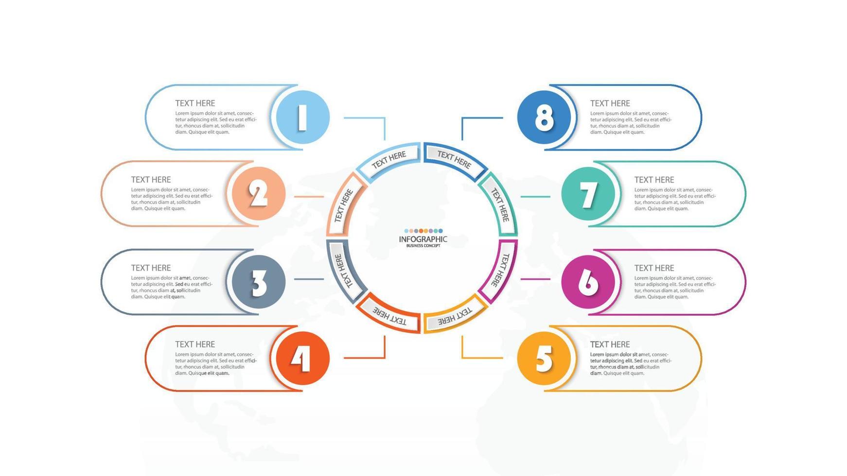 Basic circle infographic template with 8 steps, process or options, process chart. vector