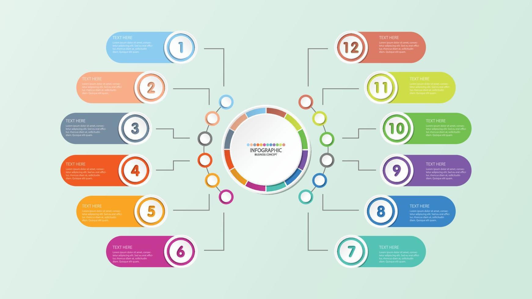 Basic circle infographic template with 12 steps, process or options, process chart. vector