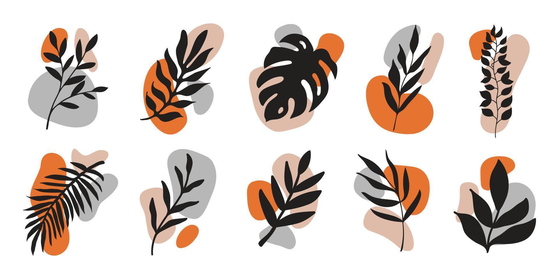 Vector hand drawn leaves with colorful various organic shapes isolated on white background. Botanical icon with spots and branches.