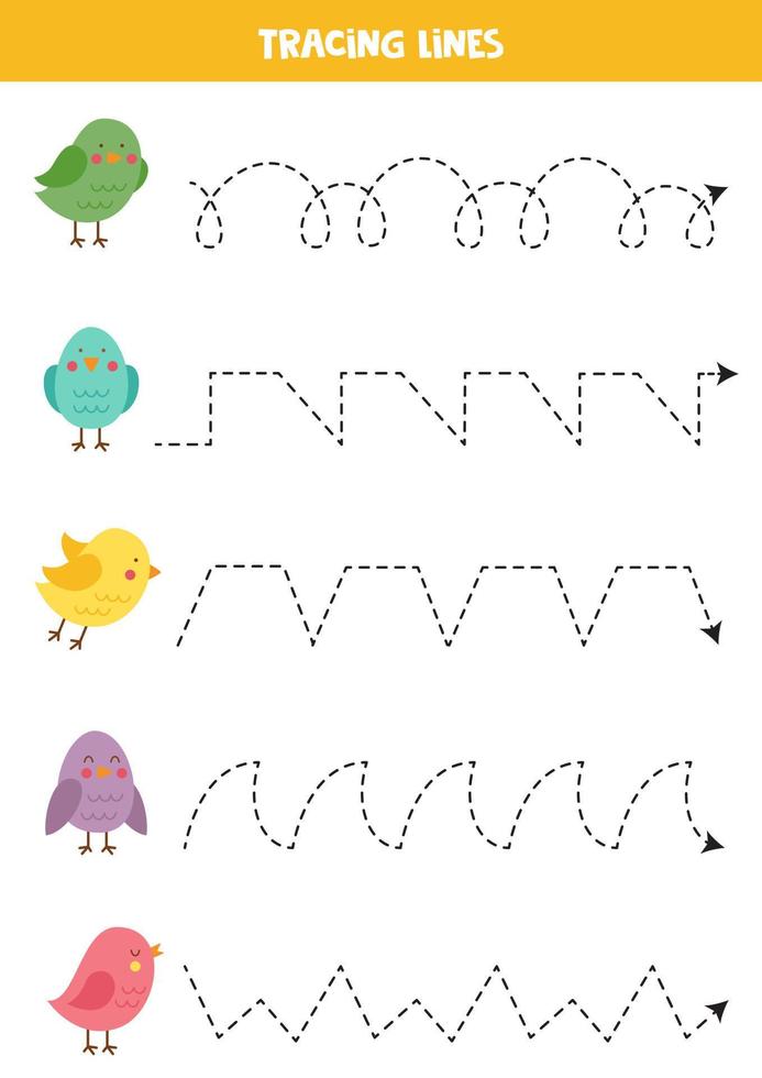 Tracing lines for kids. Cute and colorful birds. Writing practice. vector