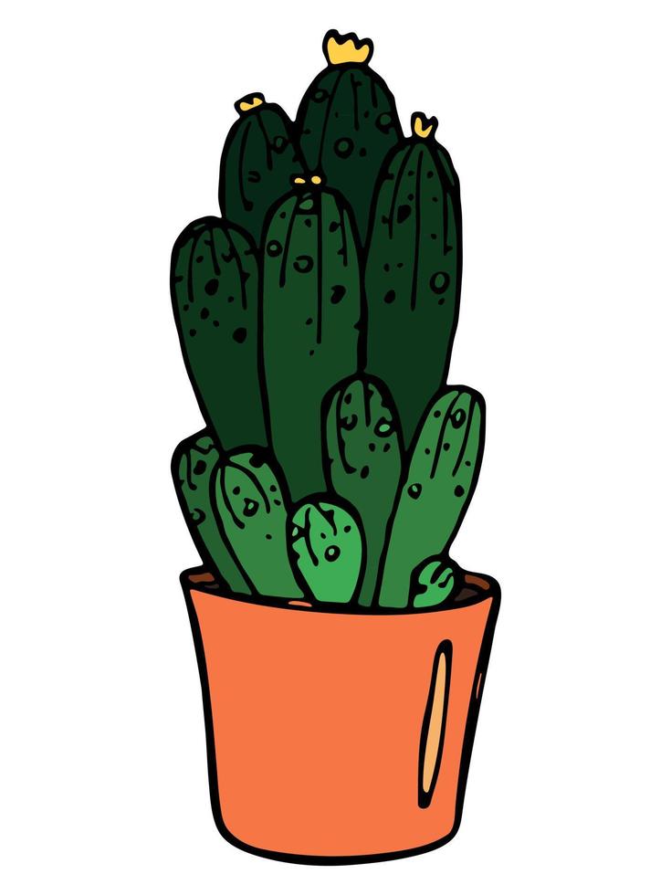 lindo cactus simple dibujado a mano. planta de interior en una maceta clipart. ilustración de cactus aislado sobre fondo blanco. garabato hogareño acogedor. vector