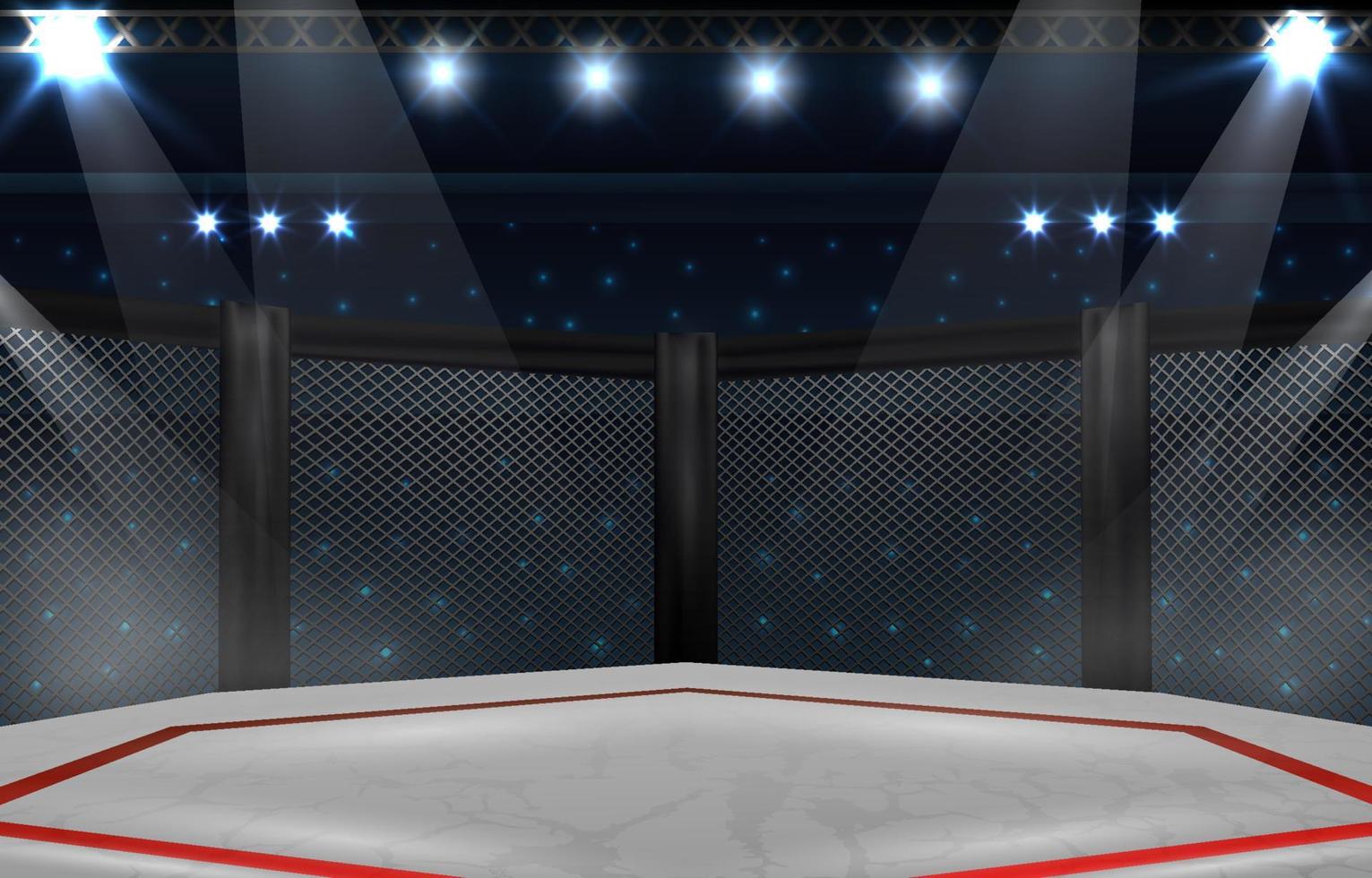 MMA Arena Background vector