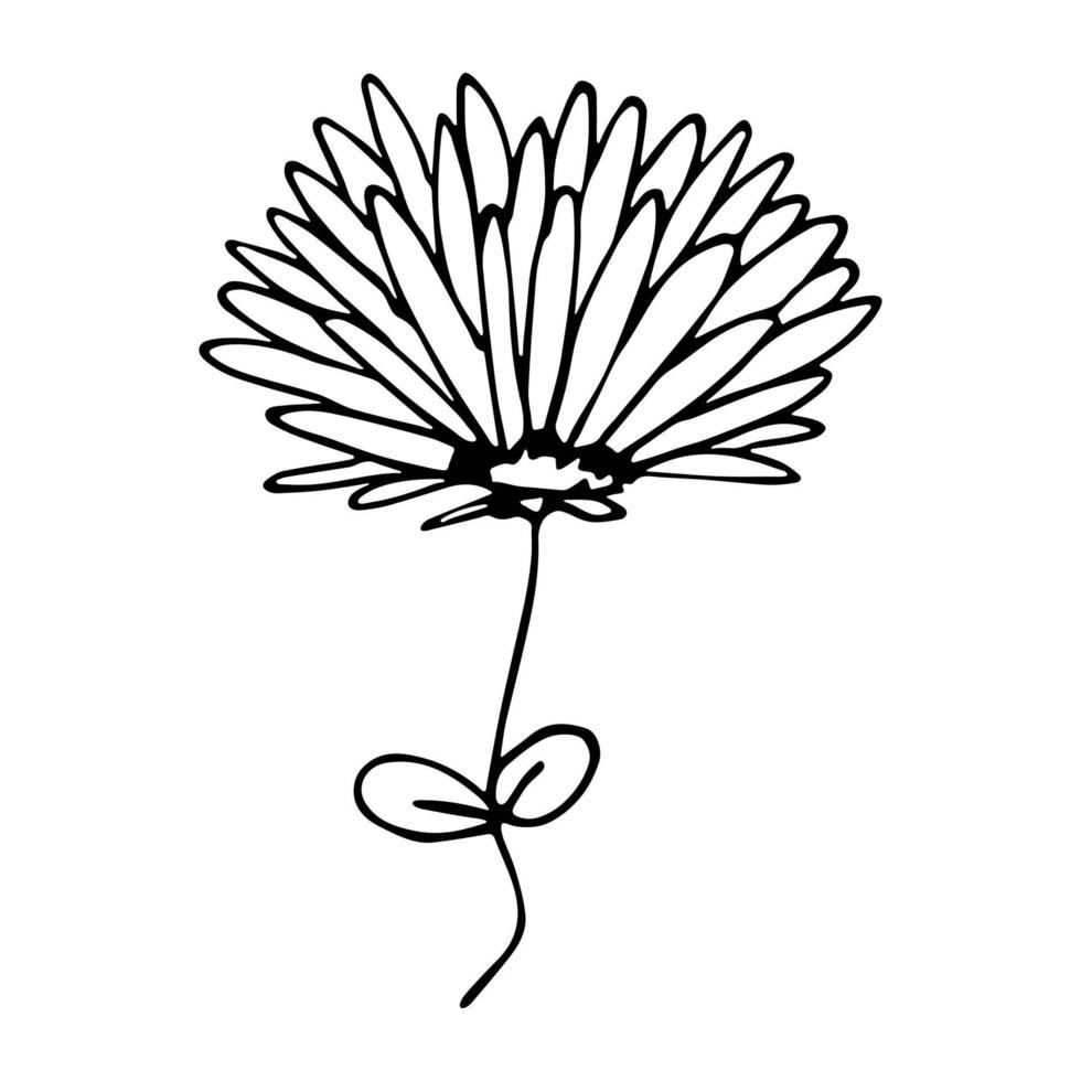 vector simple flor garabato clipart. ilustración floral dibujada a mano aislada sobre fondo blanco. para impresión, web, diseño, decoración, logotipo.