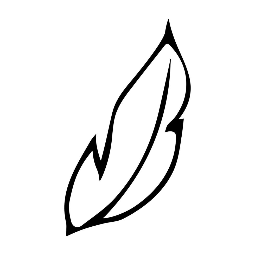 Simple leaf illustration isolated on white background. Hand drawn vector clipart. Botanical doodle for print, web, design, decor, logo.
