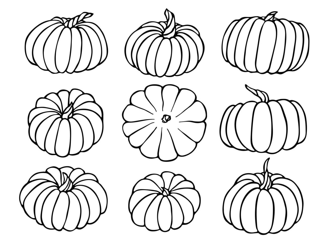 Vector hand drawn set of pumpkin illustration. Isolated object on white background. Vegetable harvest clipart. Farm market product. Elements for autumn design, decoration.