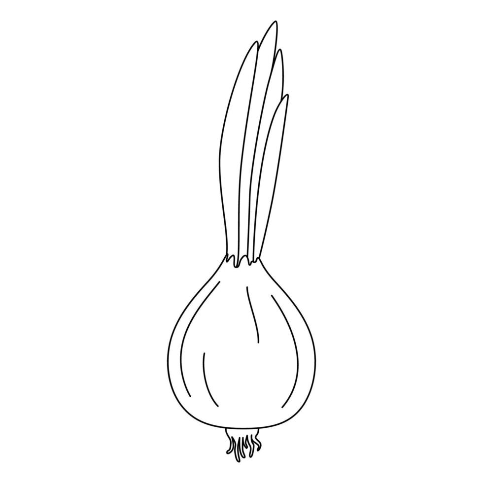 cebolla de dibujos animados con bulbo, tallo y hojas. ilustración vectorial en blanco y negro para colorear libro. comida vegana orgánica saludable vector