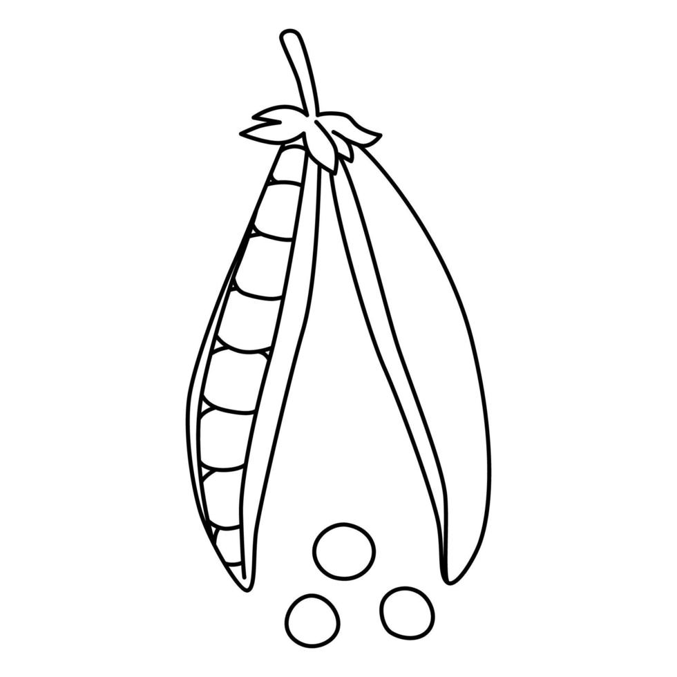 ilustración vectorial de dibujos animados en blanco y negro de guisantes de vaina para colorear libro. verdura madura para cocinar, fuente de vitaminas vector