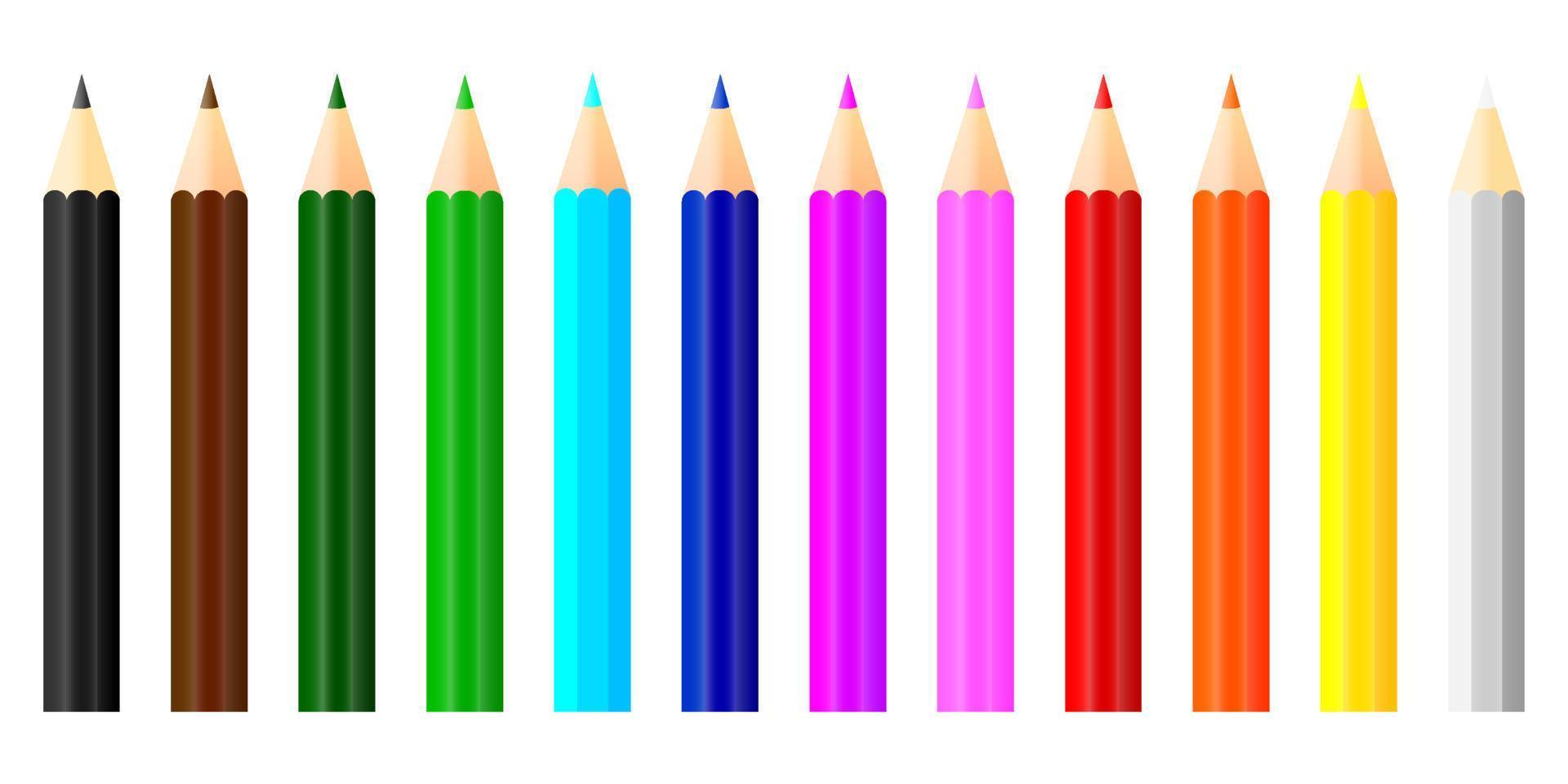 conjunto de colección de lápices de colores cortos. vector de lápices de colores sobre fondo blanco. aislado de regreso a la escuela para el objeto educativo.