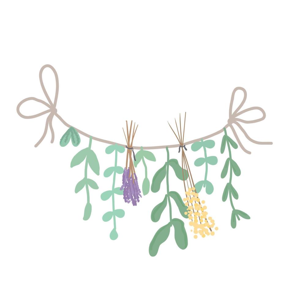 Flores secas. las plantas se secan en una cuerda. lavanda ilustración vectorial vector