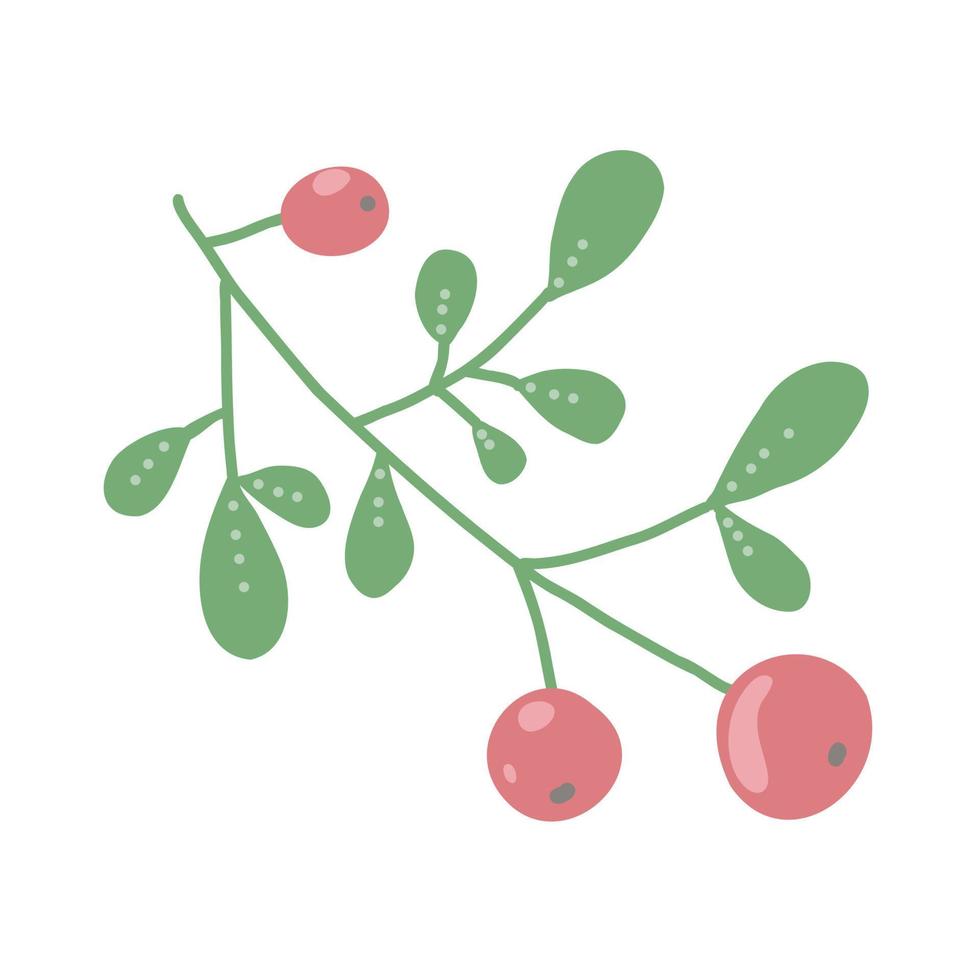 A sprig of fresh cranberries. Red sour berry. Vector illustration isolated on white background.