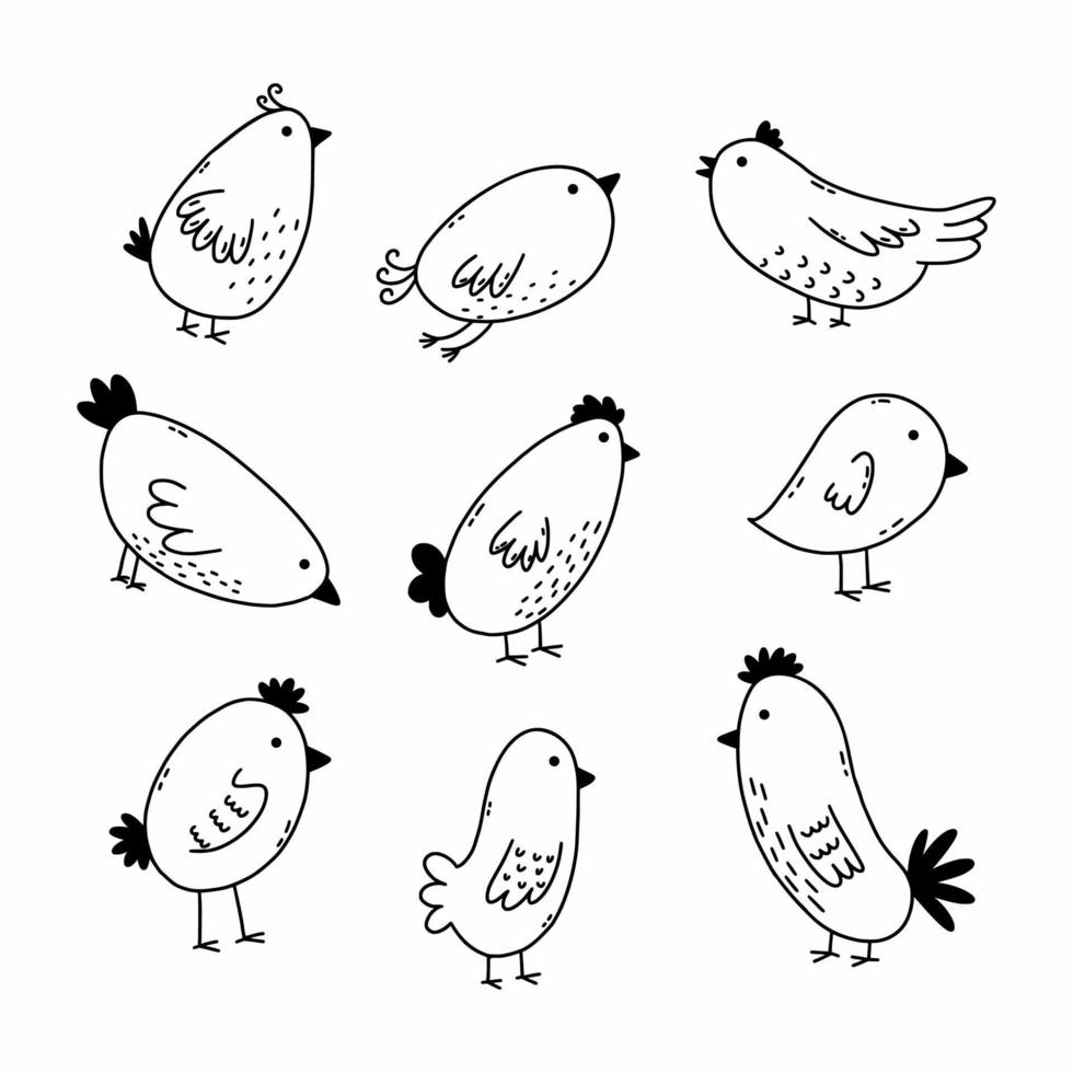 Cute bird. Set doodle illustration. Coloring book for kids. vector