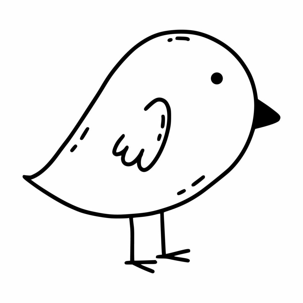 Cute bird. Vector doodle illustration. Coloring book for kid.