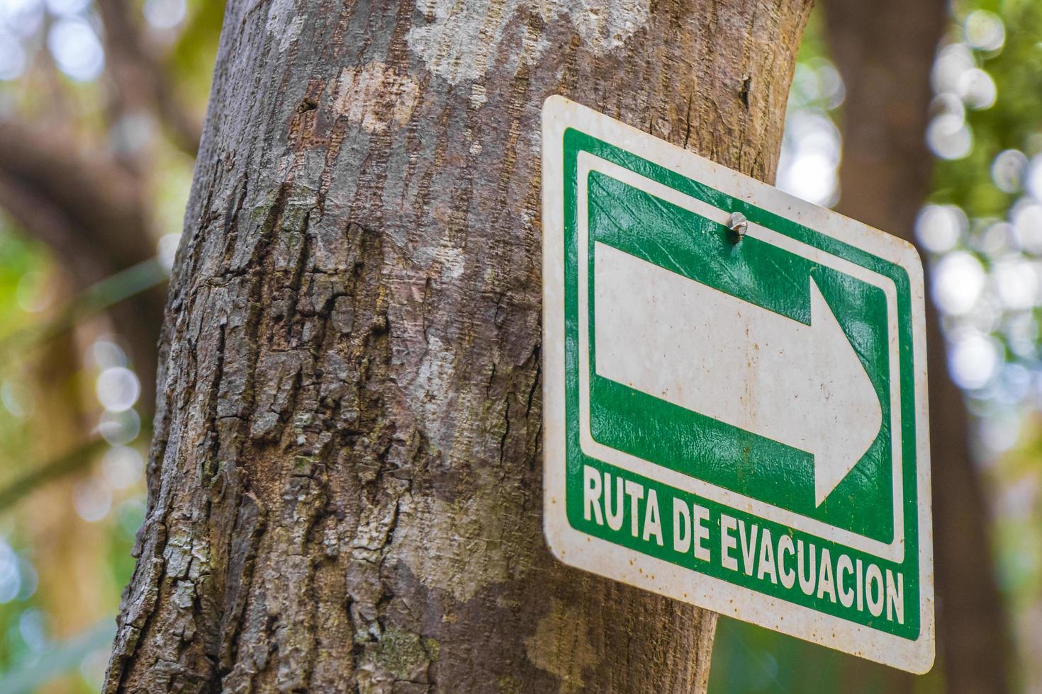 Tulum Mexico 04. February 2022 Santuario de los guerreros information evacuation route sing board Mexico. photo