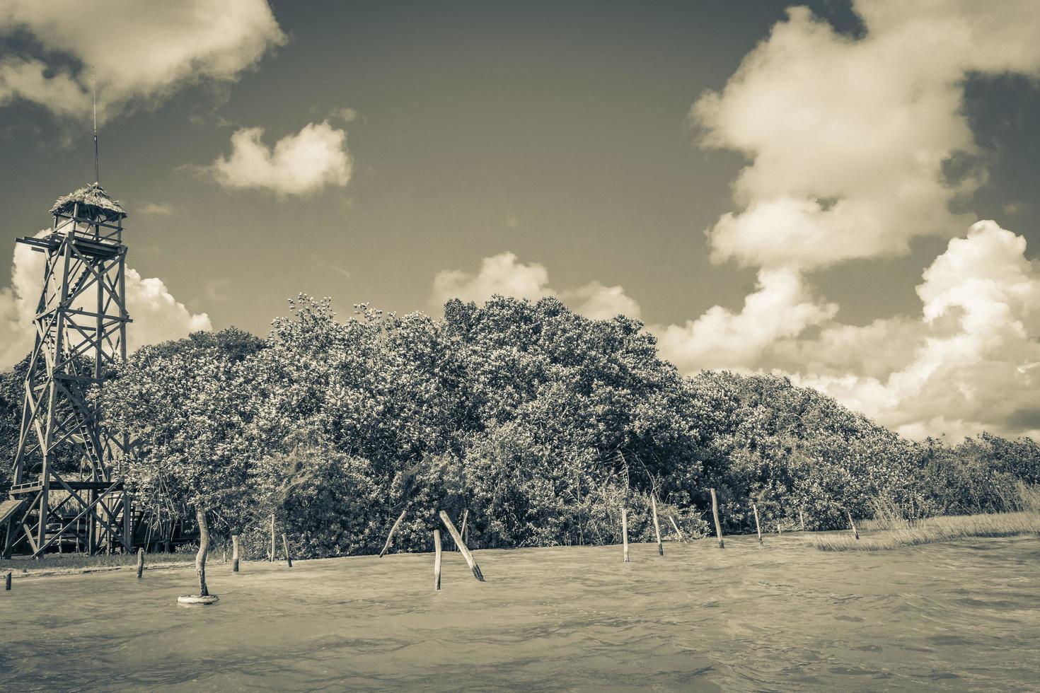 torre de vigilancia con vista panorámica a la laguna muyil en la selva tropical de méxico. foto